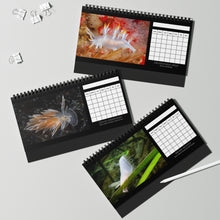 Load image into Gallery viewer, XXX PNW NUDI CALENDAR - Blank Monthly Nudibranch 12 Month Table/Desk Calendar
