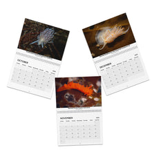 画像をギャラリービューアに読み込む, 2025 PNW Nudibranch Wall Calendar
