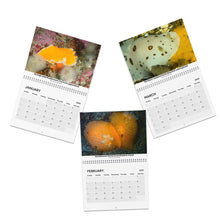 画像をギャラリービューアに読み込む, 2025 PNW Nudibranch Wall Calendar
