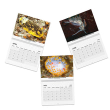 画像をギャラリービューアに読み込む, 2025 PNW Nudibranch Wall Calendar
