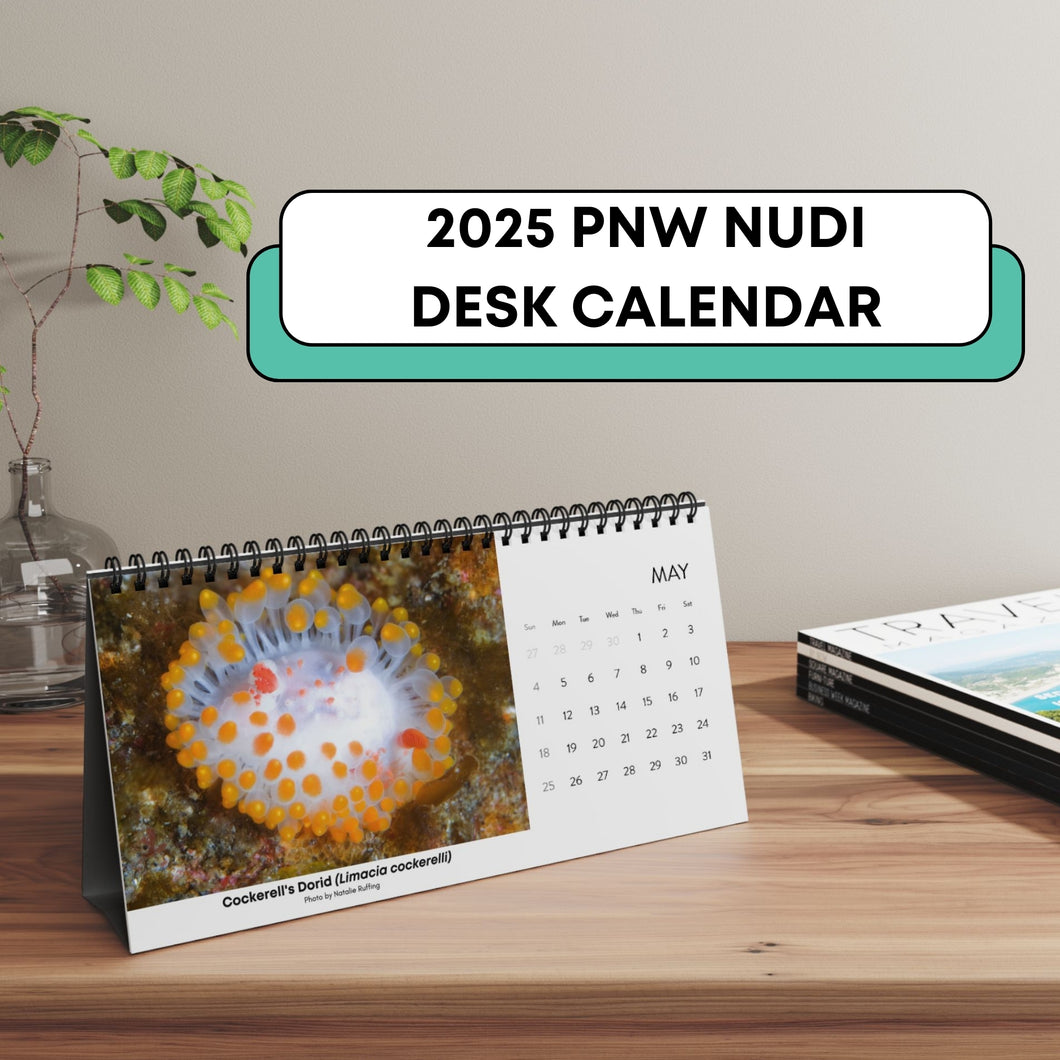 2025 PNW XXX Nudibranch Table/Desktop Monthly Calendar