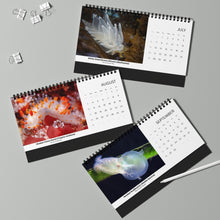 Load image into Gallery viewer, 2025 PNW XXX Nudibranch Table/Desktop Monthly Calendar
