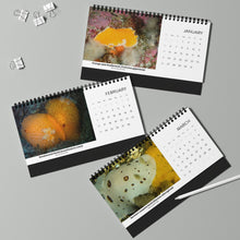 Load image into Gallery viewer, 2025 PNW XXX Nudibranch Table/Desktop Monthly Calendar
