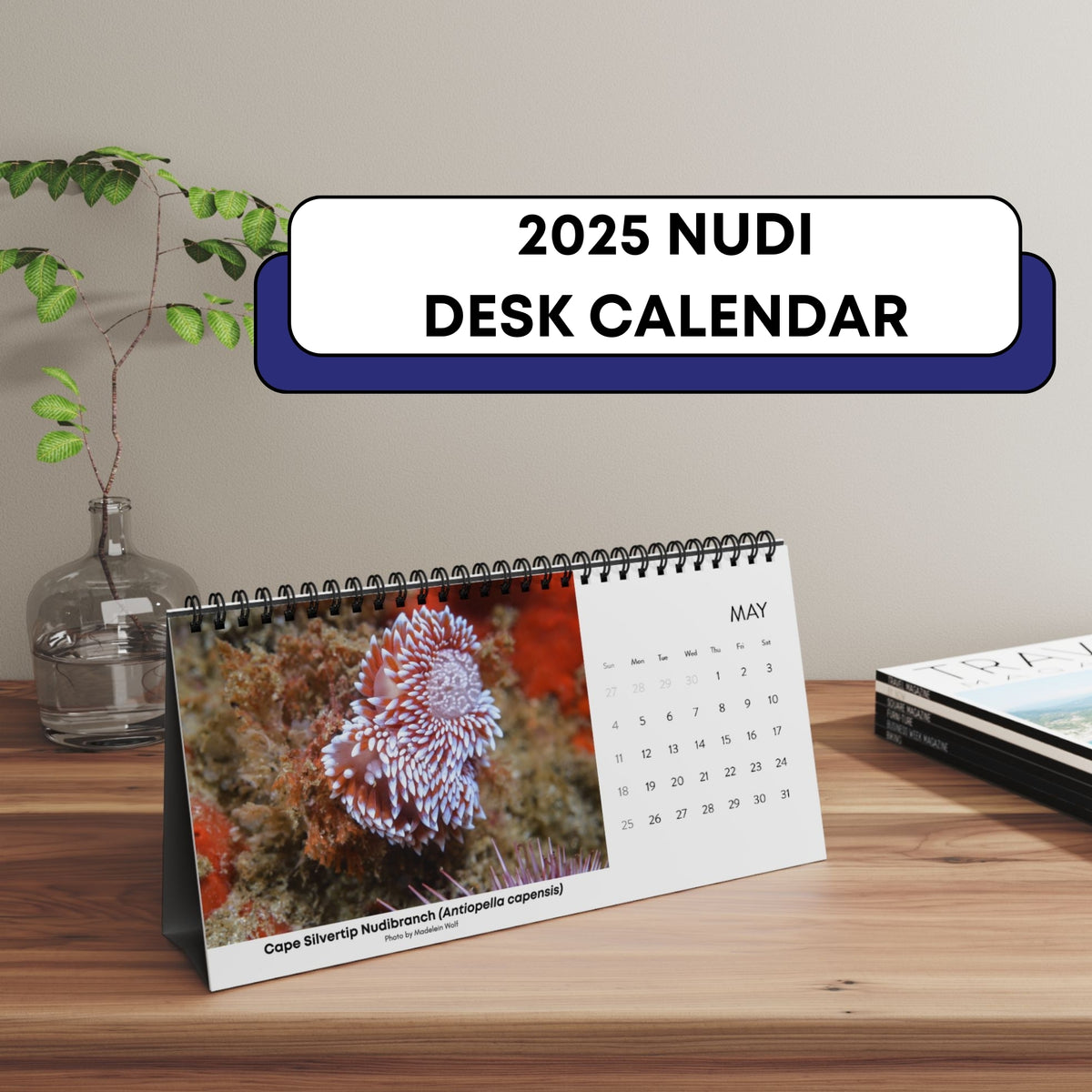 2025 XXX Nudibranch Table/Desktop Monthly Calendar – I LOVE NUDIS