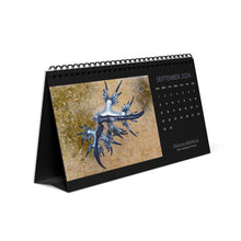 Load image into Gallery viewer, 2024 Nudibranchs from Around the World 12 Month Table/Desk Calendar

