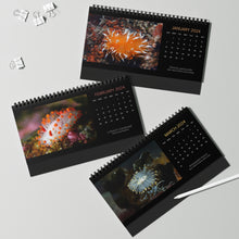Load image into Gallery viewer, XXX PNW NUDI CALENDAR 2024 - Pacific Northwest Nudibranch 12 Month Table/Desk Calendar
