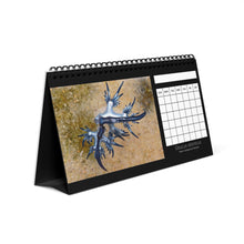 Load image into Gallery viewer, Blank Monthly Nudibranchs from Around the World 12 Month Table/Desk Calendar

