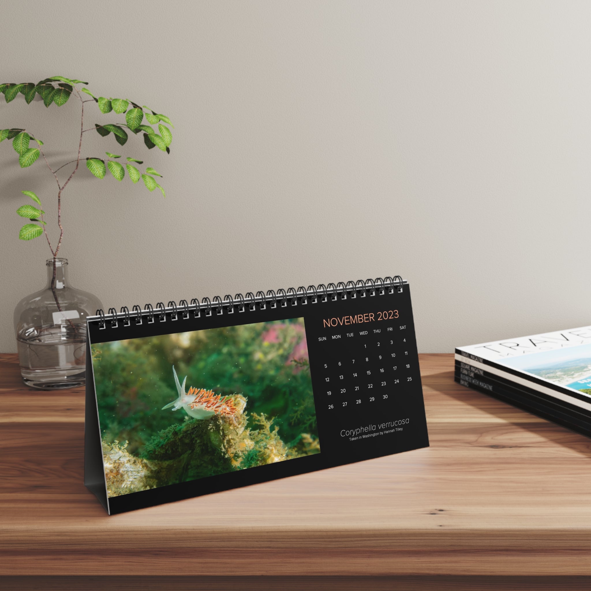 XXX PNW NUDI CALENDAR 2023 to 2024 Pacific Northwest Nudibranch 12 M