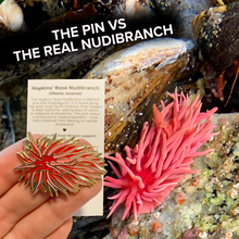 画像をギャラリービューアに読み込む, Hopkins&#39; Rose (Okenia rosacea) Nudibranch Wildlife Conservation Pin

