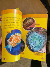 画像をギャラリービューアに読み込む, National Geographic Readers: Tide Pools Children&#39;s Book
