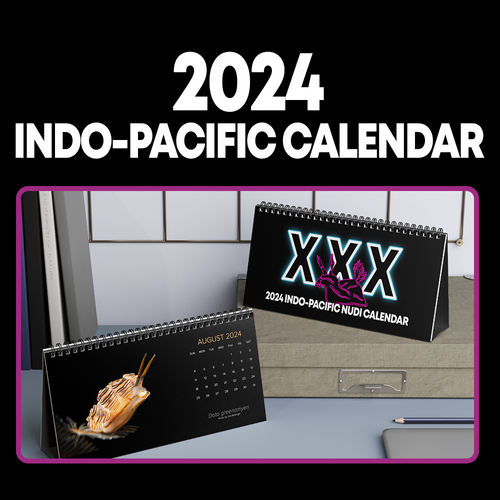 2024 Indo-Pacific Nudibranch 12 Month Table/Desk Calendar