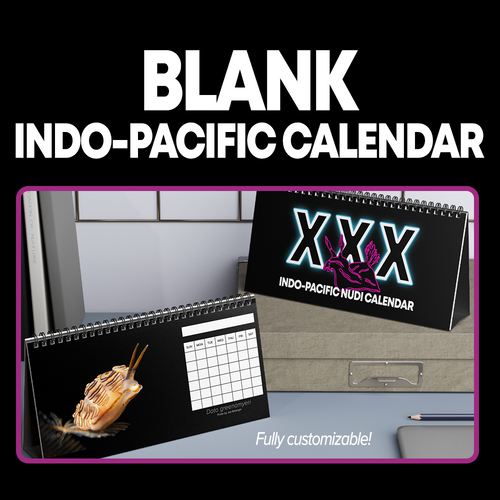 Blank Monthly Indo-Pacific Nudibranchs 12 Month Table/Desk Calendar