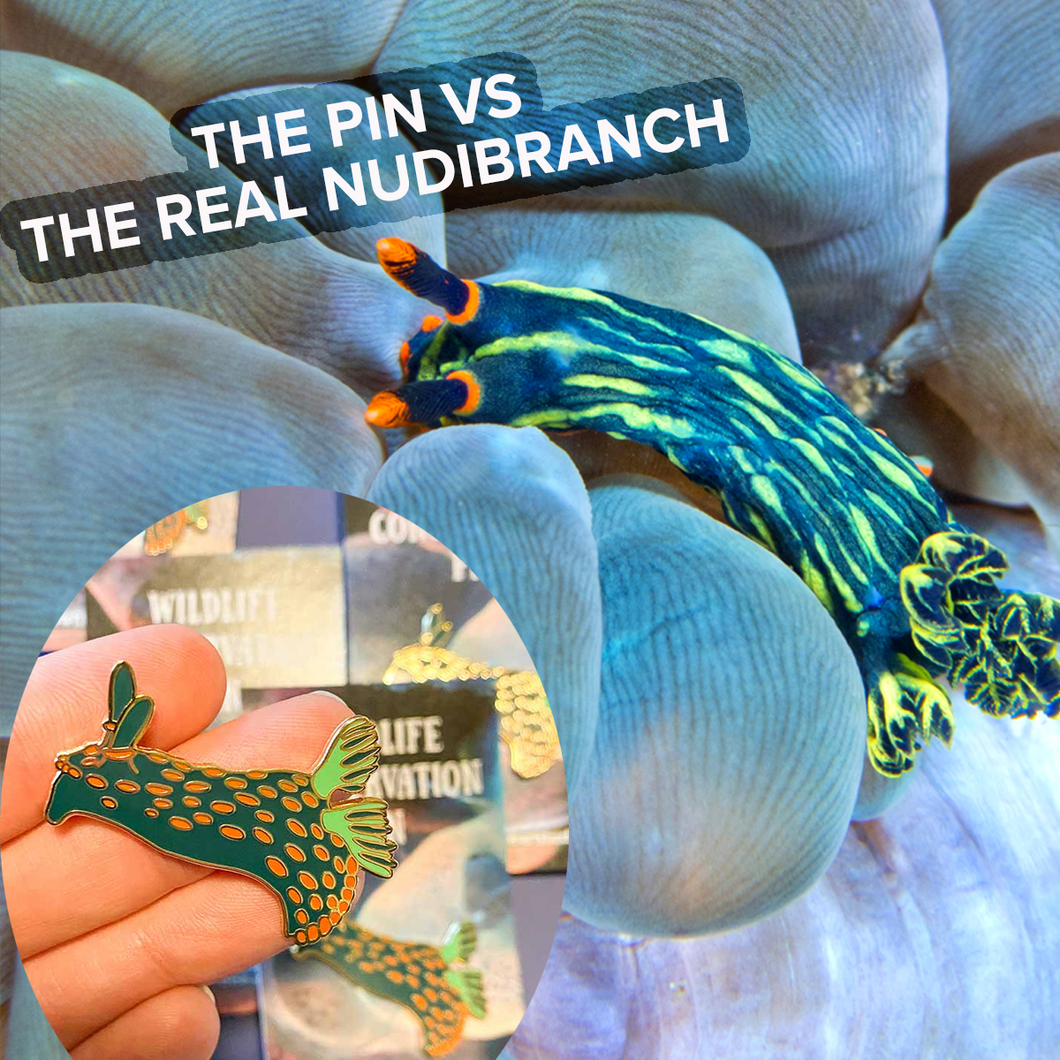 Nembrotha Nudibranch Wildlife Conservation Pin