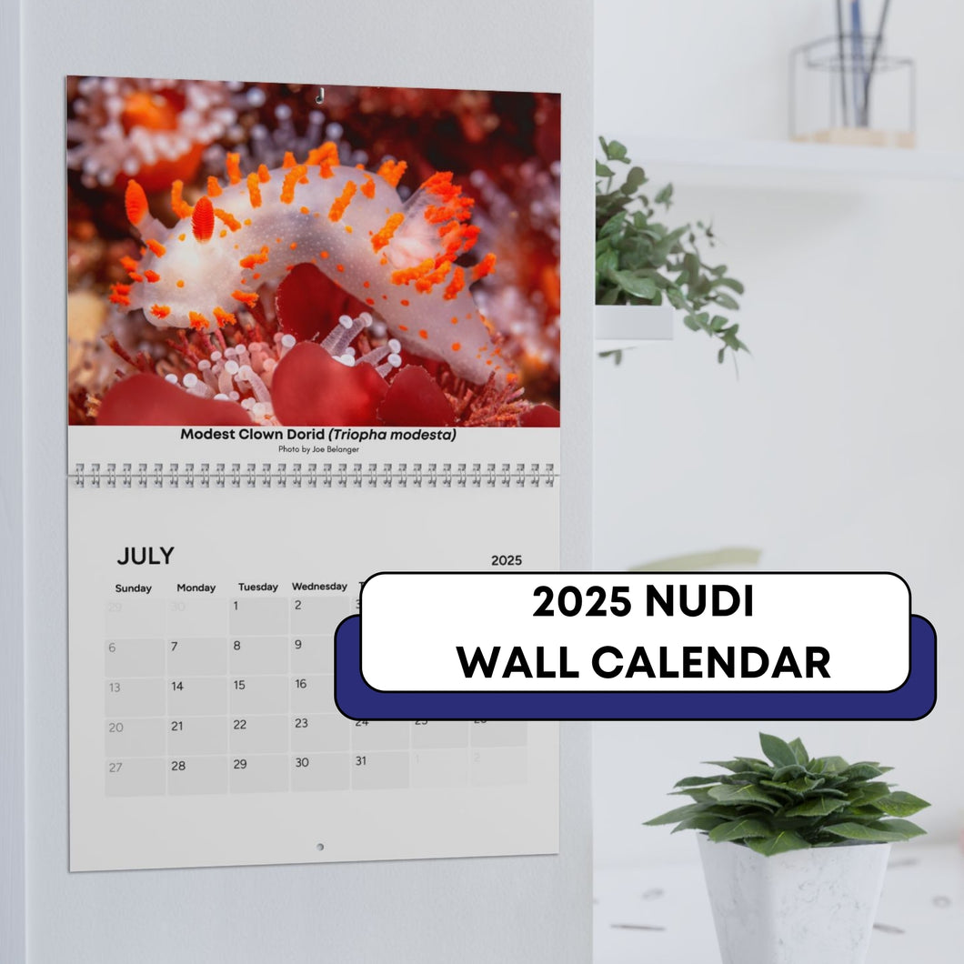 2025 XXX Nudibranch Wall Monthly Calendar