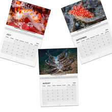 Load image into Gallery viewer, 2025 XXX Nudibranch Wall Monthly Calendar
