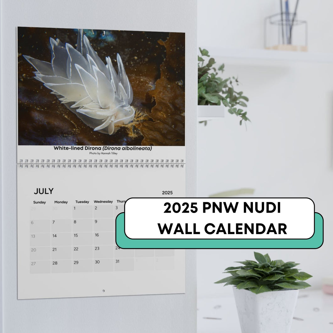 2025 PNW XXX Nudibranch Wall Monthly Calendar