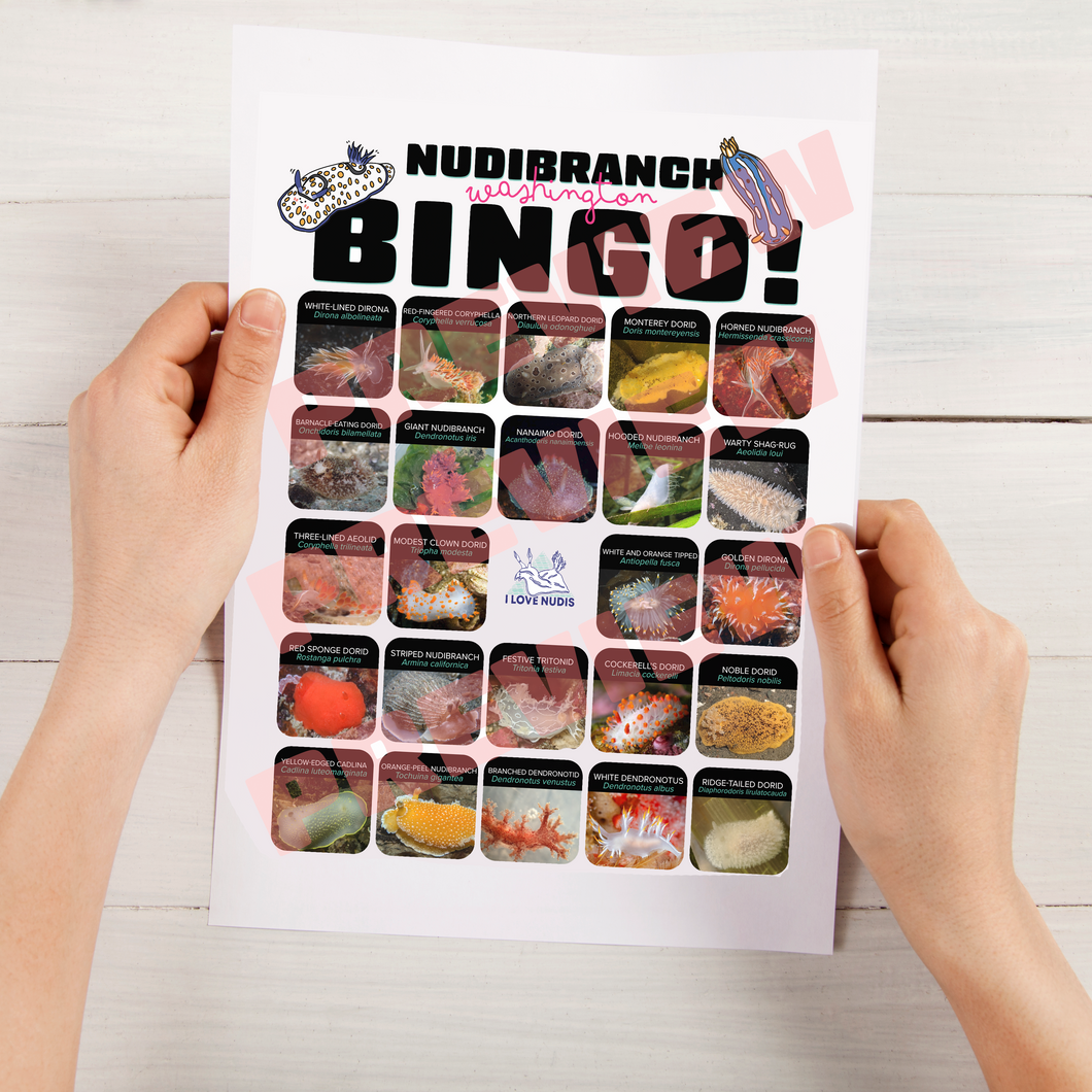 I LOVE NUDIS™ Nudibranch BINGO - Instant Digital Download!