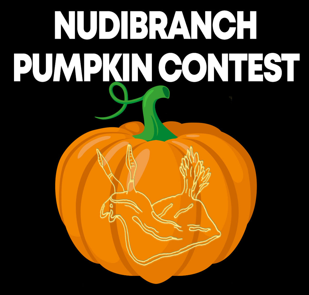 Nudibranch Pumpkin Contest Flyer