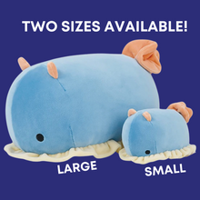 Load image into Gallery viewer, Anna&#39;s Chromodoris Nudibranch Plushies - Large &amp; Small Sizes!
