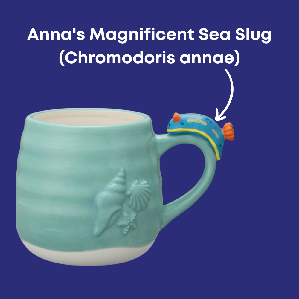 Limited Edition Nudibranch Ceramic Mug - 2 Species - Spotted White