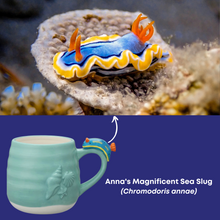 Load image into Gallery viewer, Nudibranch Ceramic Mug - 2 Species - Spotted White Sea Slug and Anna&#39;s Magnificent Sea Slug
