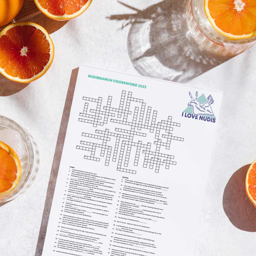 I LOVE NUDIS Nudibranch Crossword Puzzle Instant Digital Download