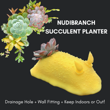 Load image into Gallery viewer, Hanging Nudibranch Succulent Planters by Reef Renders
