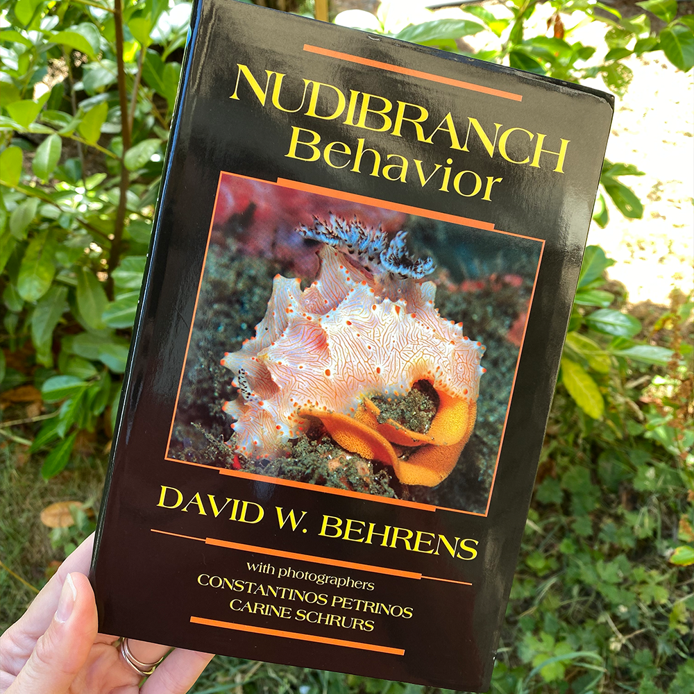 Nudibranch Behavior by David Behrens