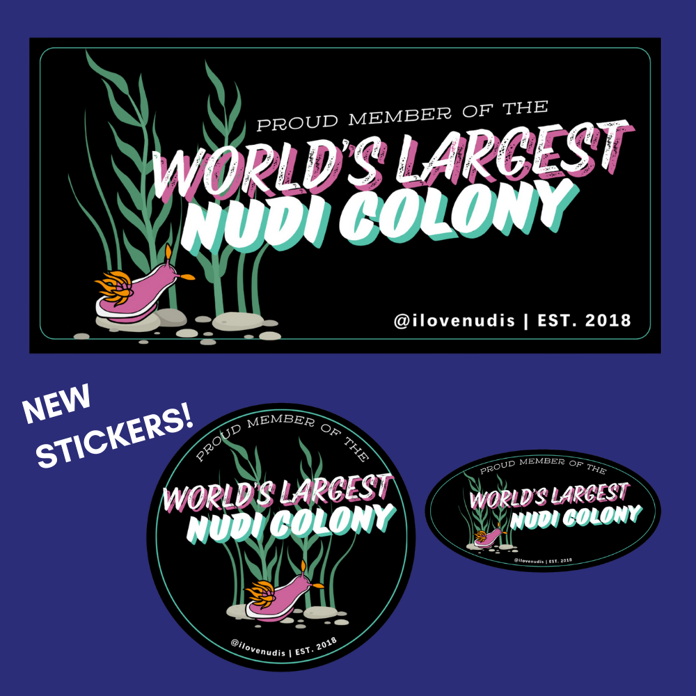 Proud Member of the World's Largest Nudibranch Colony - Waterproof & Weather-Resistent Bumper, Circle, Oval Stickers