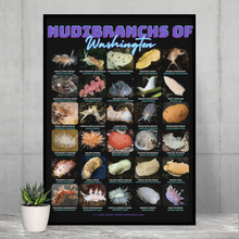 Load image into Gallery viewer, PNW Nudibranchs of Washington Photographic Poster with Identification Names on desk
