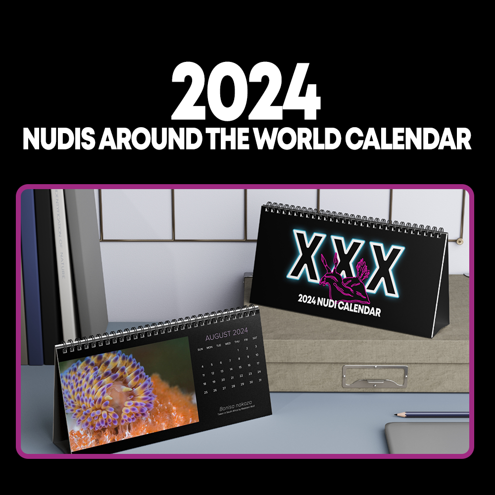 XXX WORLD NUDI CALENDAR - 2024 Nudibranchs from Around the World 12 Month Table/Desk Calendar