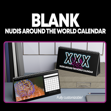 Blank Monthly Nudibranchs from Around the World 12 Month Table/Desk Calendar