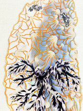 Load image into Gallery viewer, Golden Lace Nudibranch (Halgerda terramtuentis) Giclée Print
