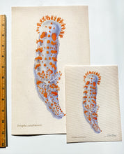 Load image into Gallery viewer, Sea Clown (Triopha catalinae) Giclée Print
