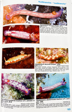 Load image into Gallery viewer, Nudibranch and Sea Slug Identification - Indo-Pacific 2nd Edition
