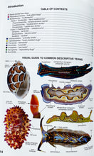 画像をギャラリービューアに読み込む, Nudibranch and Sea Slug Identification - Indo-Pacific 2nd Edition
