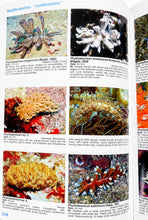Load image into Gallery viewer, Nudibranch and Sea Slug Identification - Indo-Pacific 2nd Edition
