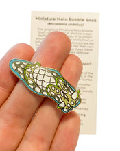 画像をギャラリービューアに読み込む, Miniature Melo Bubble Snail (Micromelo undatus) Wildlife Conservation Pin

