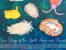 Load image into Gallery viewer, Sea Slugs of the North American Pacific Recycled Art Print
