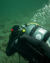 Load image into Gallery viewer, I LOVE NUDIS Logo Nudibranch Stickers on scuba tank
