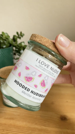 Watermelon Candle inspired by the Hooded Nudibranch in Recycled Glass