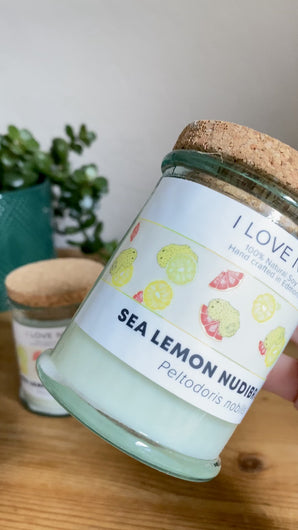 Sea Lemon Candle in Recycled Glass