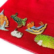 Load image into Gallery viewer, Annas Chromodoris nudibranch conservation enamel pin on hat with other pins
