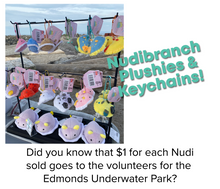 画像をギャラリービューアに読み込む, Small Nudibranch Plushie Keychains
