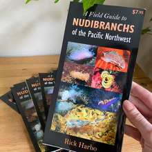 Load image into Gallery viewer, Field Guide to Nudibranchs of the Pacific Northwest close up of front cover
