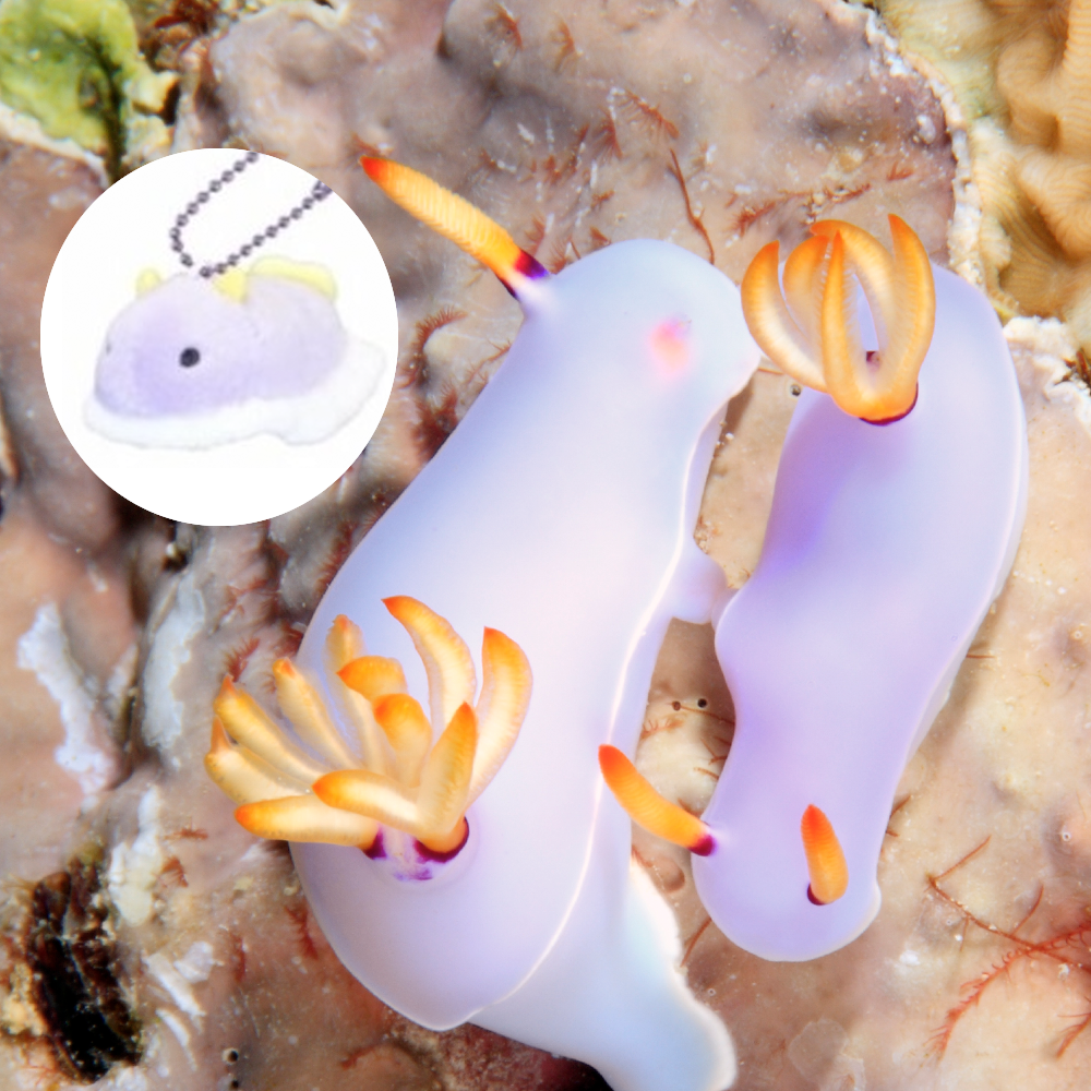Small Nudibranch Plushie Keychains