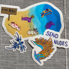 Load image into Gallery viewer, Nudibranch Pun Stickers
