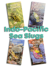 Load image into Gallery viewer, Indo-Pacific Sea Slug Pins
