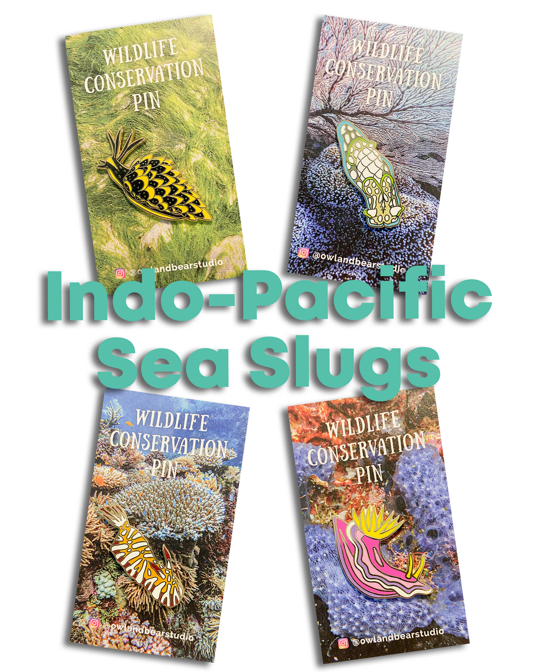Indo-Pacific Sea Slug Pins