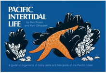 画像をギャラリービューアに読み込む, Pacific Intertidal Life Cover
